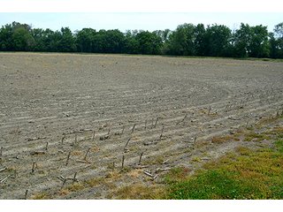 Property photo 33 - FARM & LAND AUCTION - 125+/- ACRES OFFERED IN 5 TRACTS IN EAST ALLEN COUNTY, INDIANA